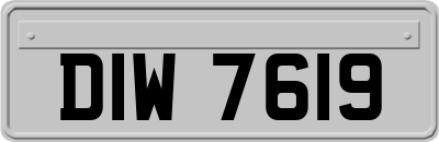 DIW7619