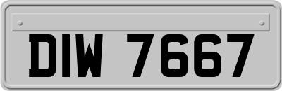 DIW7667