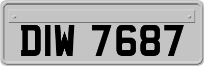 DIW7687