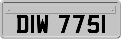 DIW7751