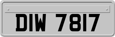 DIW7817