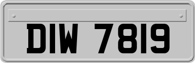 DIW7819