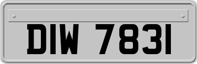 DIW7831