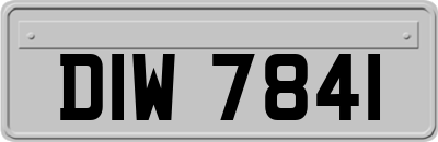 DIW7841