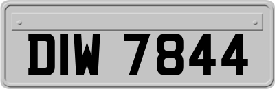 DIW7844