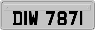 DIW7871