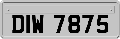 DIW7875