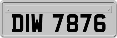 DIW7876