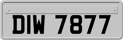 DIW7877