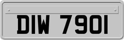 DIW7901
