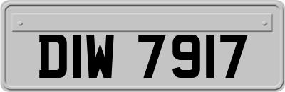 DIW7917