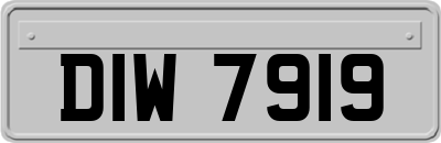 DIW7919