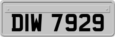 DIW7929