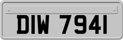 DIW7941
