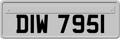 DIW7951