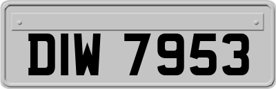 DIW7953