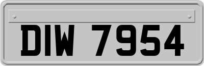 DIW7954
