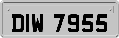 DIW7955
