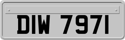DIW7971