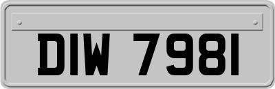 DIW7981