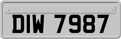 DIW7987