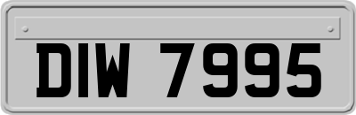 DIW7995
