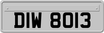DIW8013
