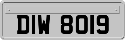 DIW8019