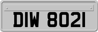 DIW8021