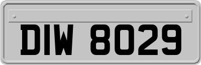 DIW8029
