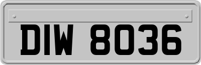 DIW8036
