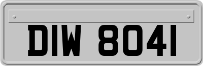 DIW8041