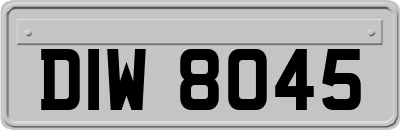 DIW8045