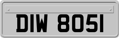DIW8051