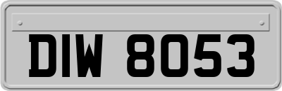 DIW8053