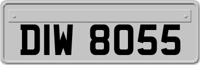 DIW8055