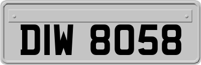 DIW8058