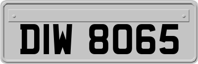 DIW8065