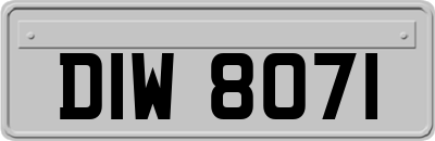 DIW8071