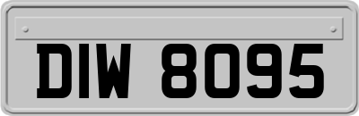 DIW8095
