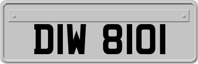 DIW8101