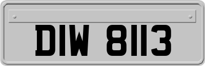 DIW8113