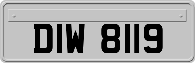 DIW8119
