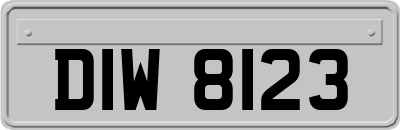 DIW8123
