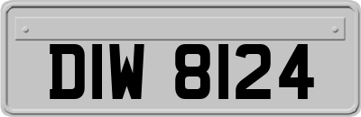 DIW8124