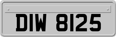 DIW8125