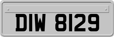 DIW8129
