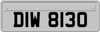 DIW8130