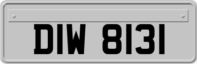 DIW8131