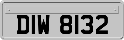 DIW8132